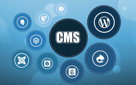 CMS Features for Business in 2020