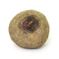 TEST SAMPLE ITEM